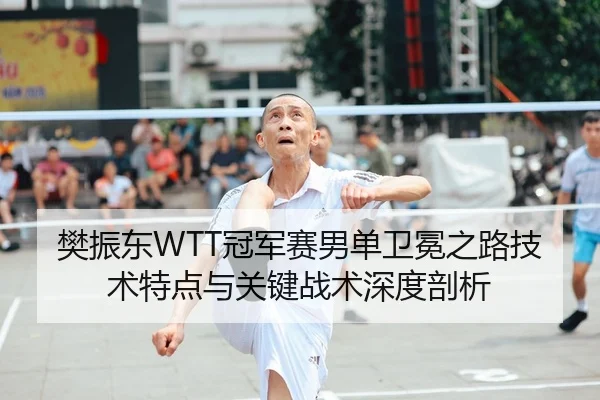 樊振东WTT冠军赛男单卫冕之路技术特点与关键战术深度剖析