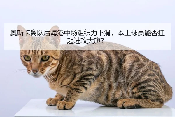 奥斯卡离队后海港中场组织力下滑，本土球员能否扛起进攻大旗？