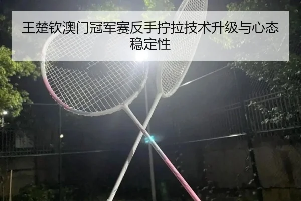 王楚钦澳门冠军赛反手拧拉技术升级与心态稳定性